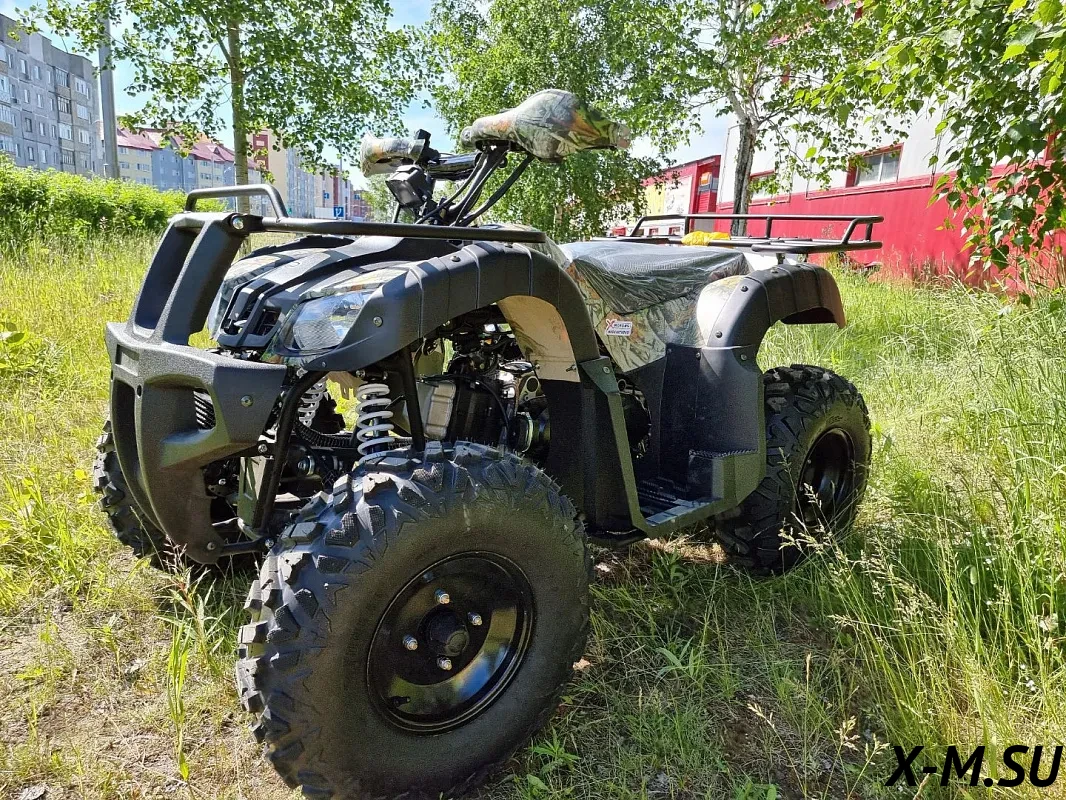 Квадроцикл PROMAX ATV 250 (2025) Квадроцикл PROMAX ATV 250 (2025)