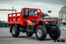 Квадроцикл CJ Termite 350