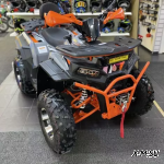 Квадроцикл MOTORHEAD Boost PRO 125 2025