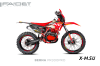 Кроссовый мотоцикл FAIDET BERNA PR300 FPS