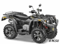 Квадроцикл STELS  ATV 650 YS EFI LEOPARD