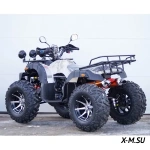 Квадроцикл STALKER 250 Premium