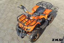 Квадроцикл ATV Target Next