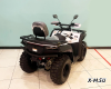 Квадроцикл BASHAN EXPLORER 300 BASIC